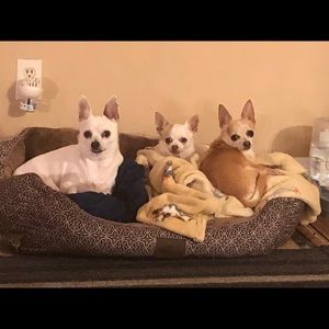 Meet your Posher, Kim